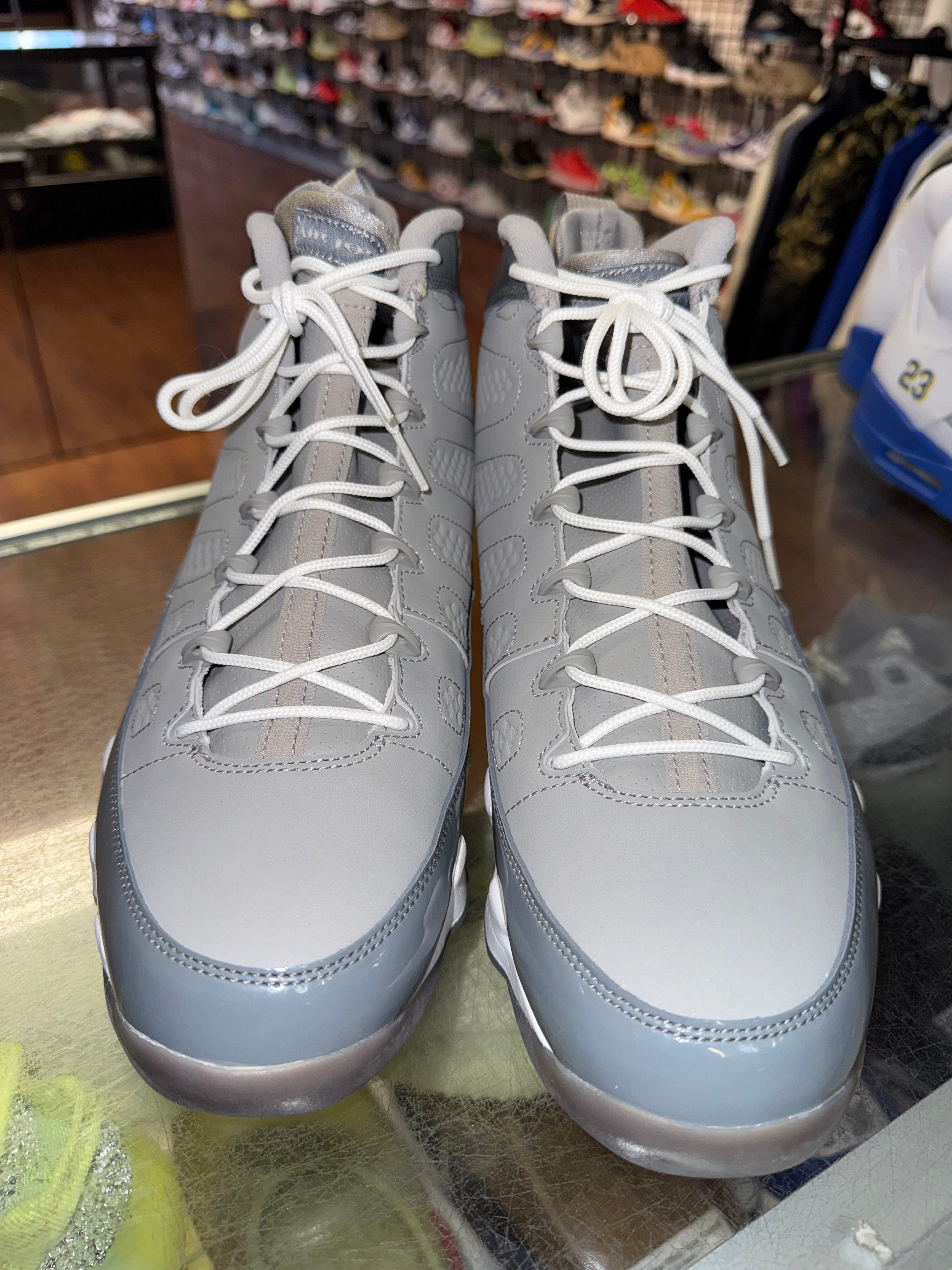 Size 11 Air Jordan 9 "Cool Grey"