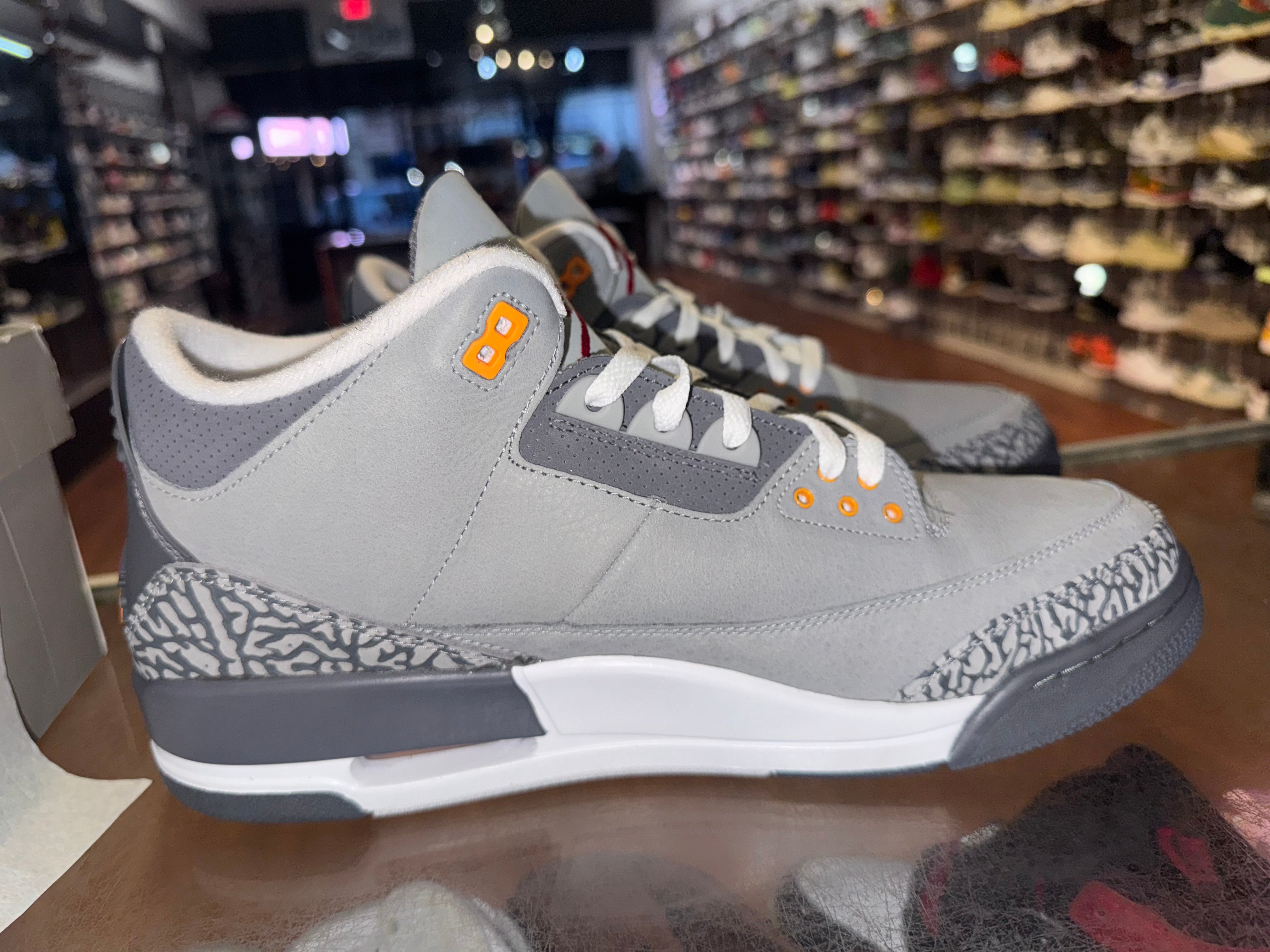 Size 13 Air Jordan 3 "Cool Grey"