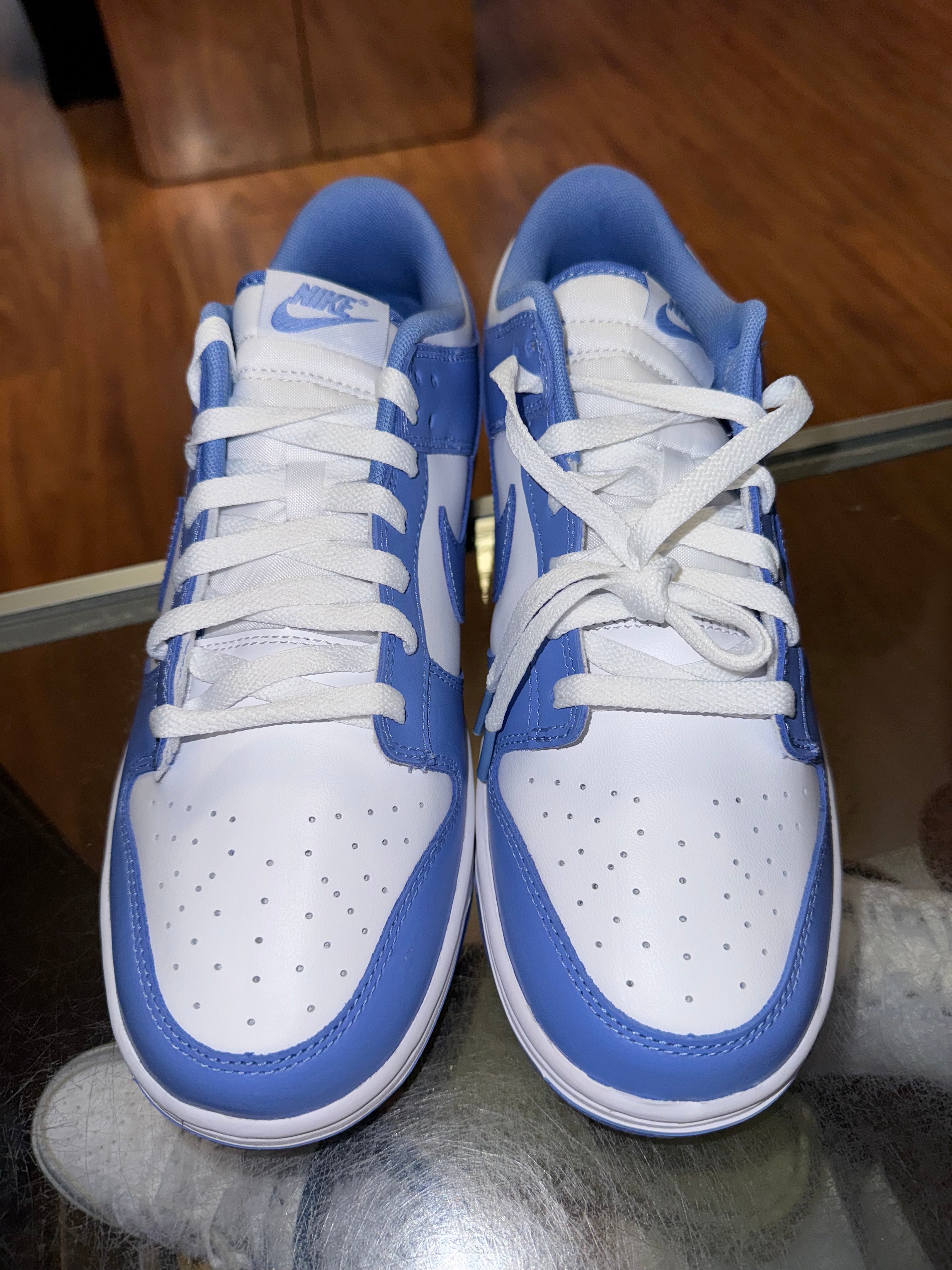 Size 10 Dunk Low “Polar Blue” Brand New