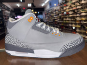 Size 13 Air Jordan 3 "Cool Grey"