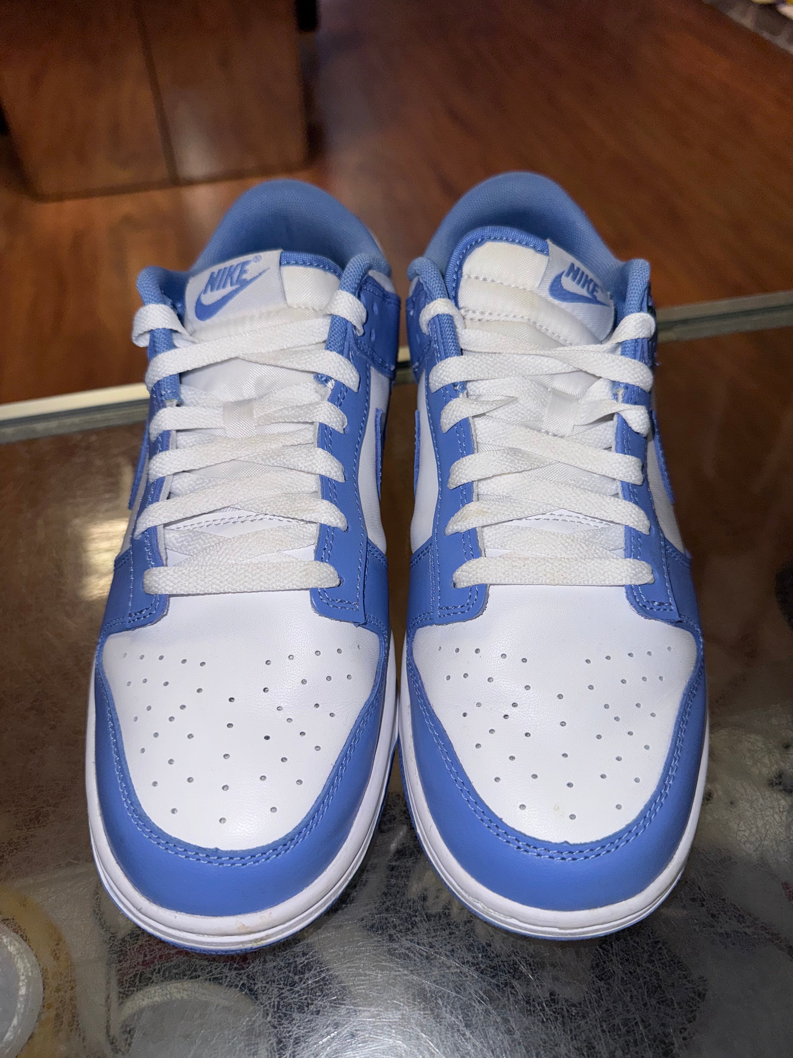 Size 9 Dunk Low “Polar Blue” Worn 1x