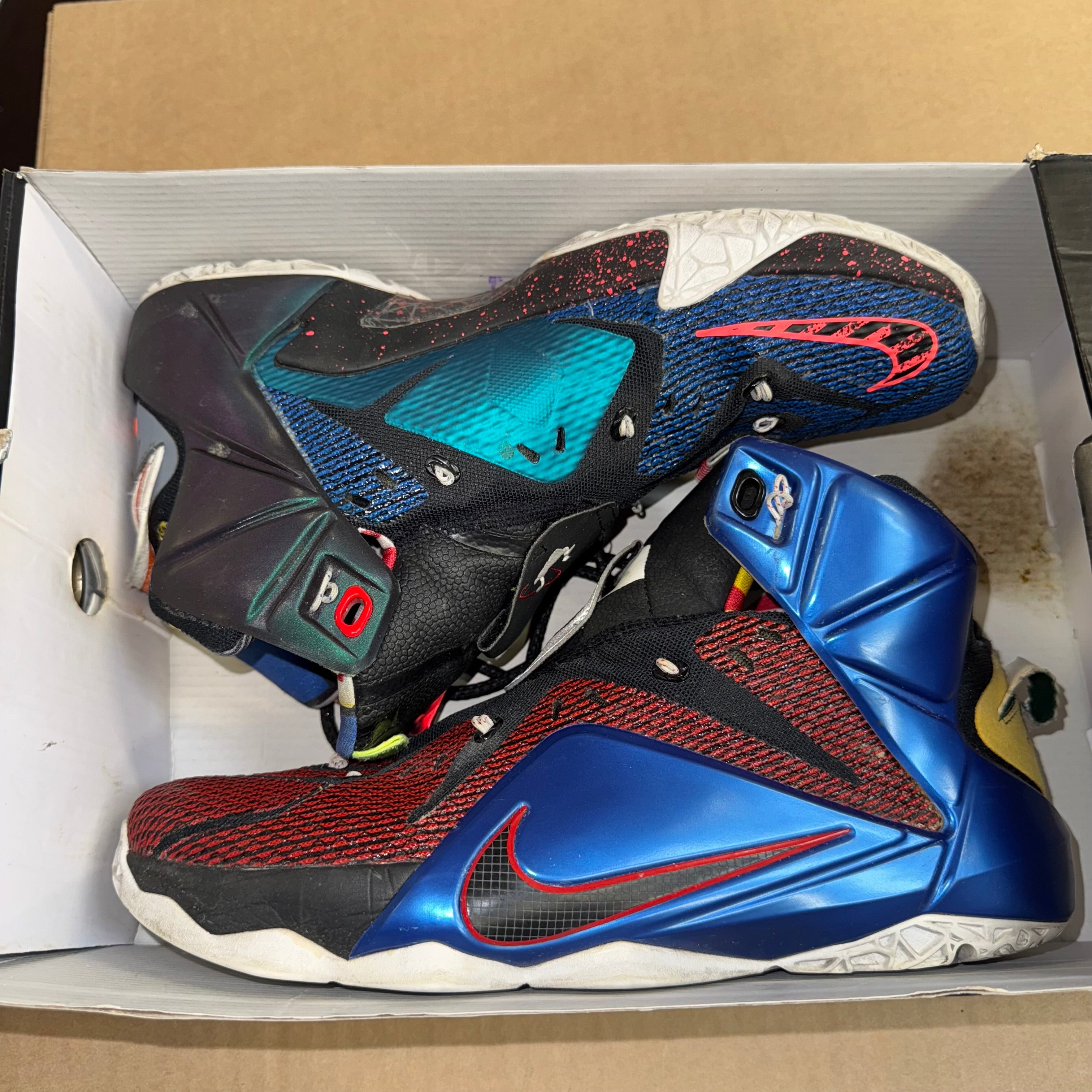 Size 10 Lebron 12 "What The Lebron"