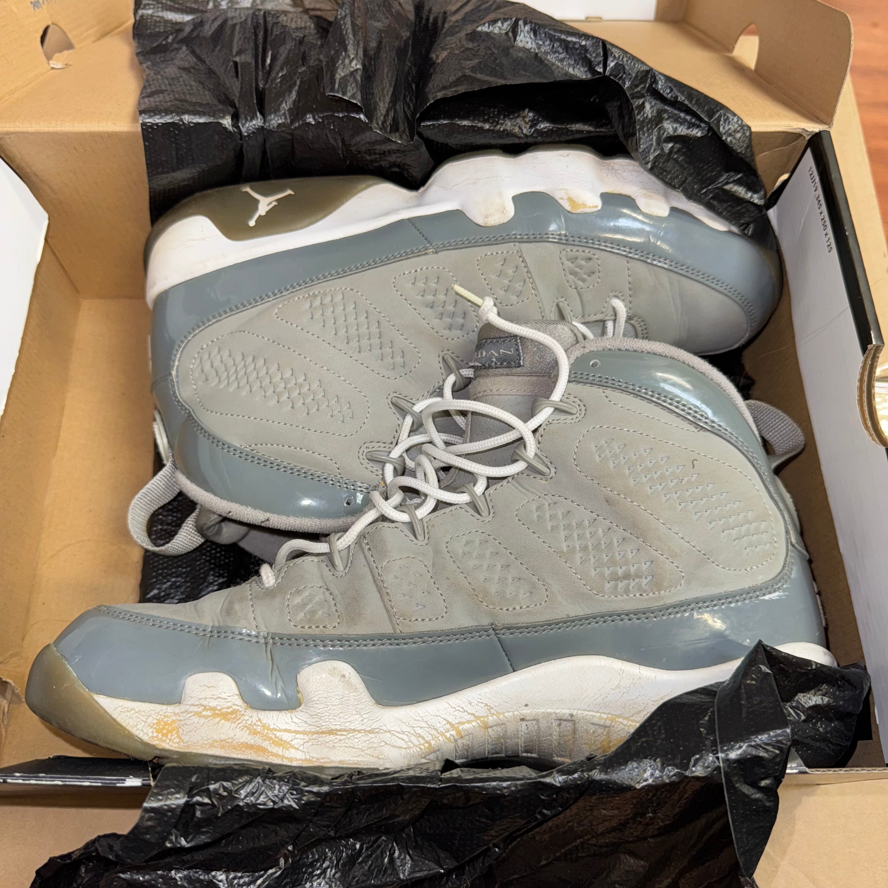 Size 10 Air Jordan 9 "Cool Grey"