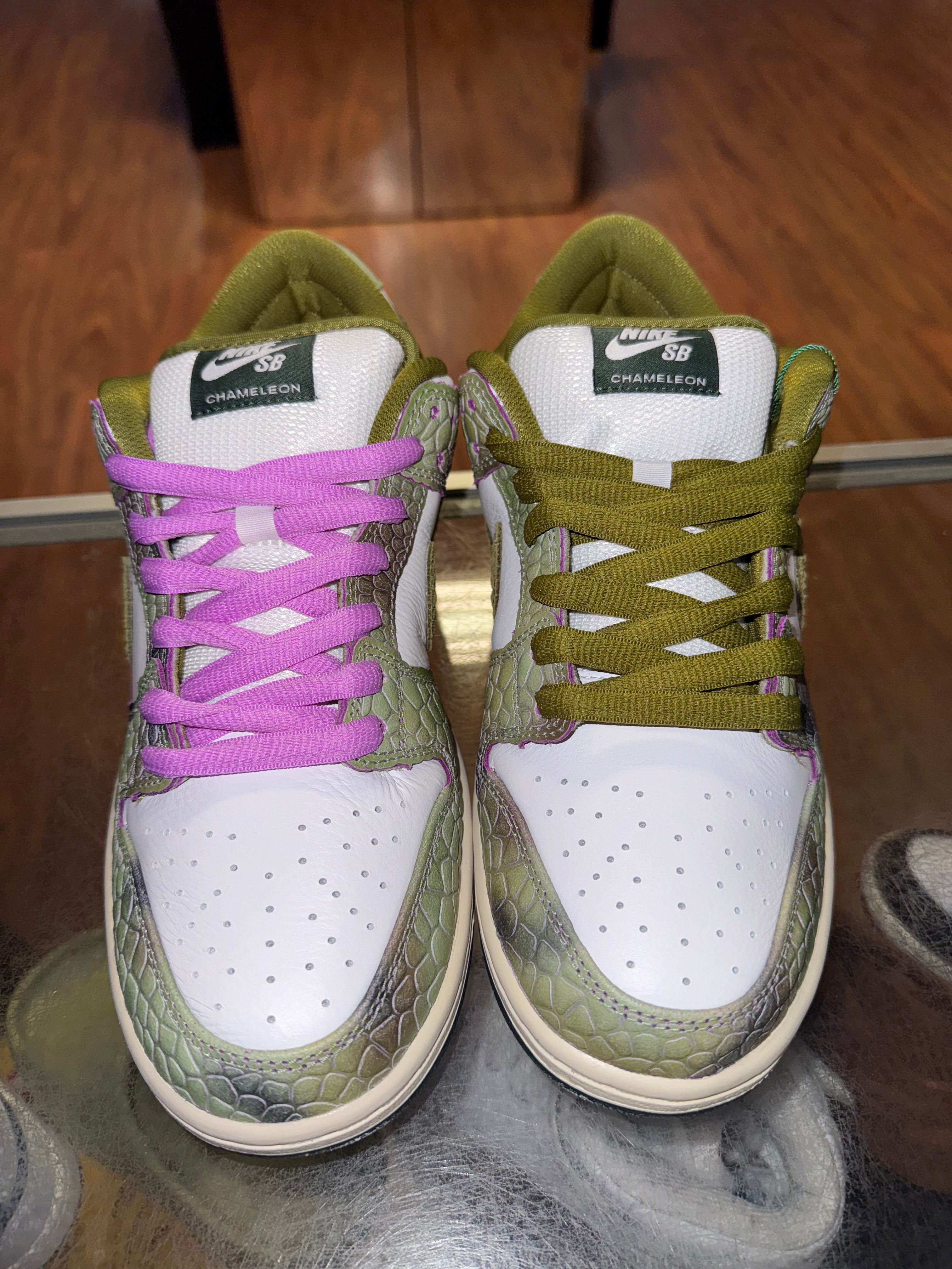 Size 9 Dunk Low SB “Chameleon” Brand New